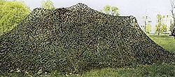 camouflage3