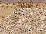 camouflage4